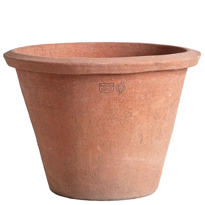 Terracotta Pot Paolo