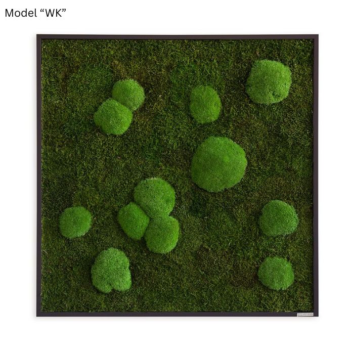 Cuadro decorativo de pared con musgo, 80x80 cm