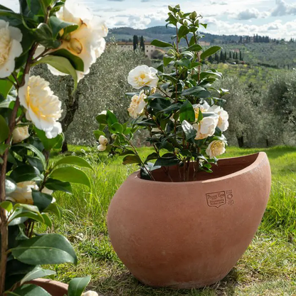 Vase en terre cuite Edoardo