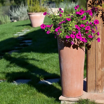 Terracotta Pot Enrico