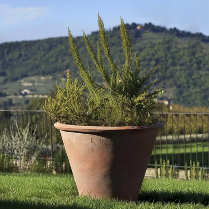 Terracotta Pot Paolo