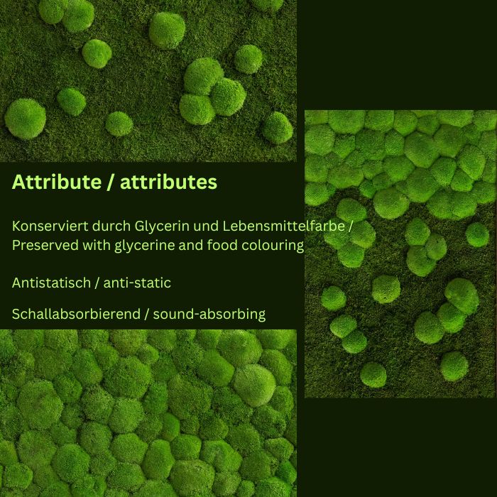 Wanddekoration Moosbild 100x60cm