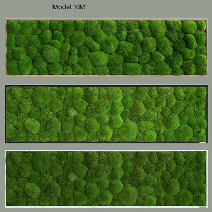 Wall Decoration Moss Artwork 140x40cm