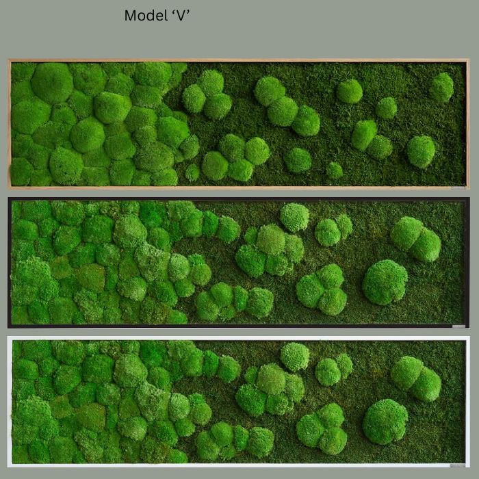 Wall Decoration Moss Artwork 140x40cm
