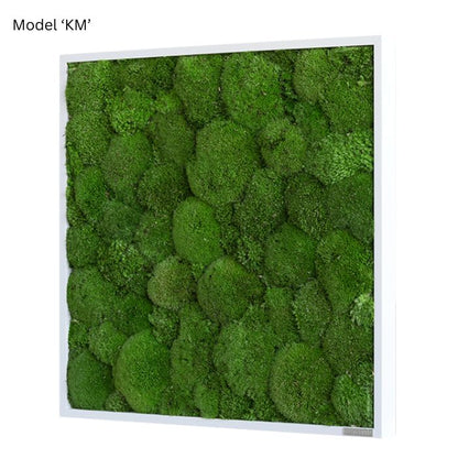 Wanddekoration Moosbild 55x55cm