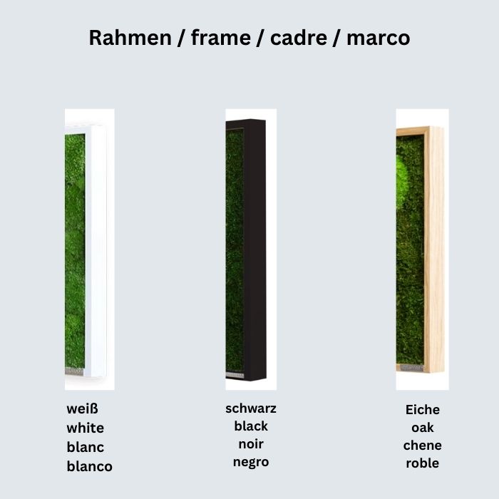 Wanddekoration Moosbild 100x60cm