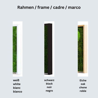 Wanddekoration Moosbild 100x60cm