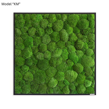 Cuadro decorativo de pared con musgo, 80x80 cm