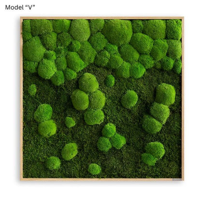 Cuadro decorativo de pared con musgo, 80x80 cm