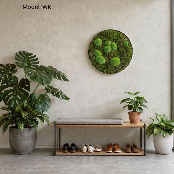 Wall Decoration: Moss Artwork, 54 cm in diameter