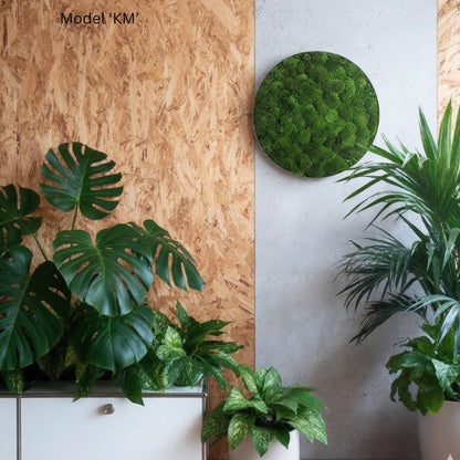 Wall Decoration: Moss Artwork, 54 cm in diameter