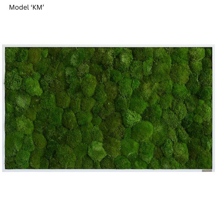 Wanddekoration Moosbild 100x60cm