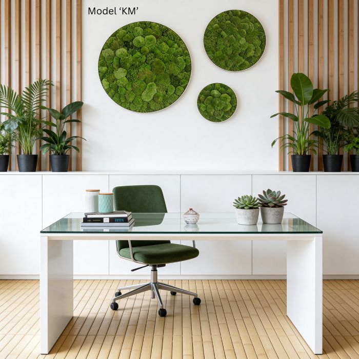 Wanddekoration Moosbild 3 Set Rund