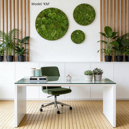 Wanddekoration Moosbild 3 Set Rund