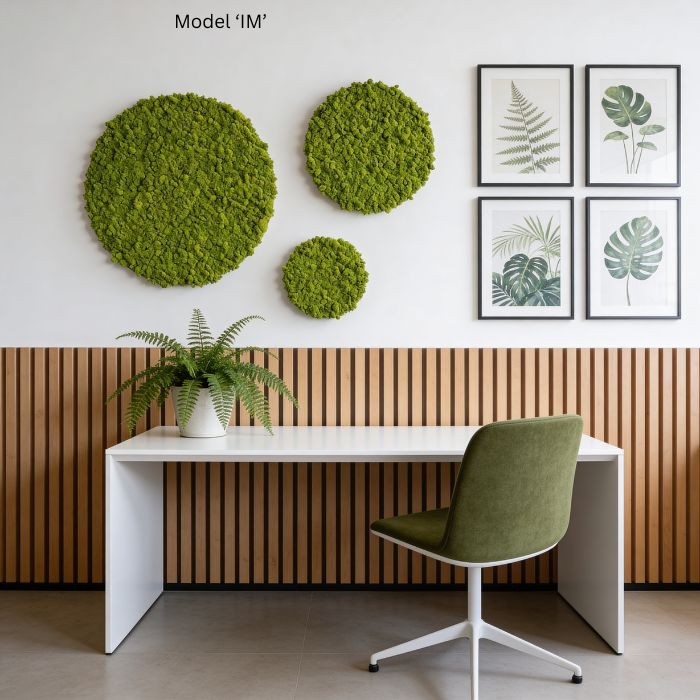Wanddekoration Moosbild 3 Set Rund